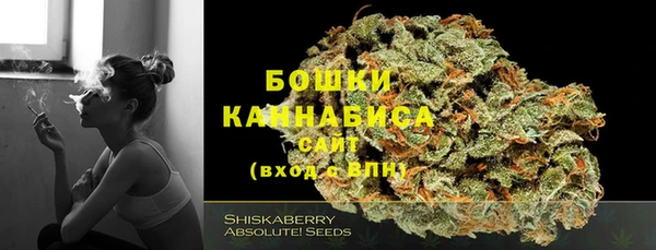 стафф Абаза